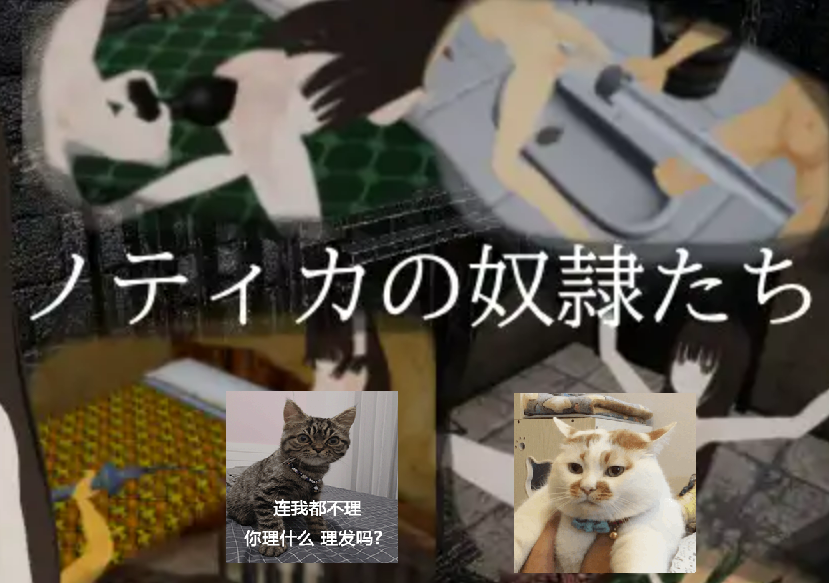 ノティカの奴○たち【机翻中文】 ——快乐的开始 鱼乐杂货铺-鱼乐杂货铺