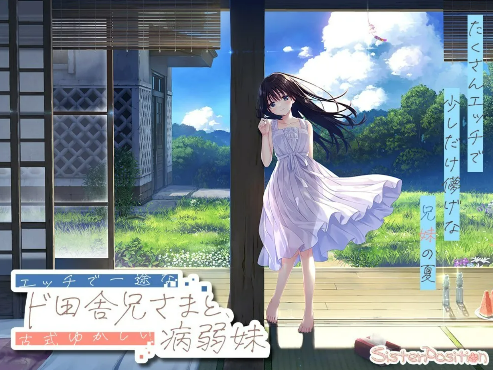 【PC/SLG/中文】痴情哥哥与病弱妹妹的乡间生活 エッチで一途なド田舎兄さまと、古式ゆかしい病弱妹 ——快乐的开始 鱼乐杂货铺-鱼乐杂货铺