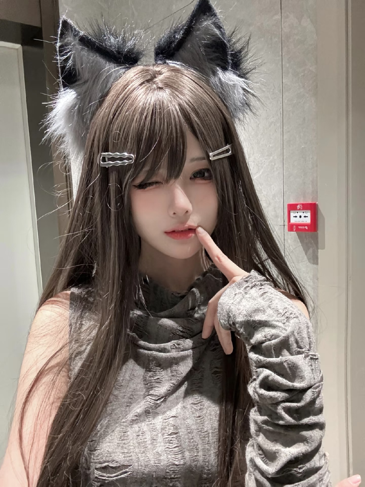 群友图片第5期-鱼乐杂货铺